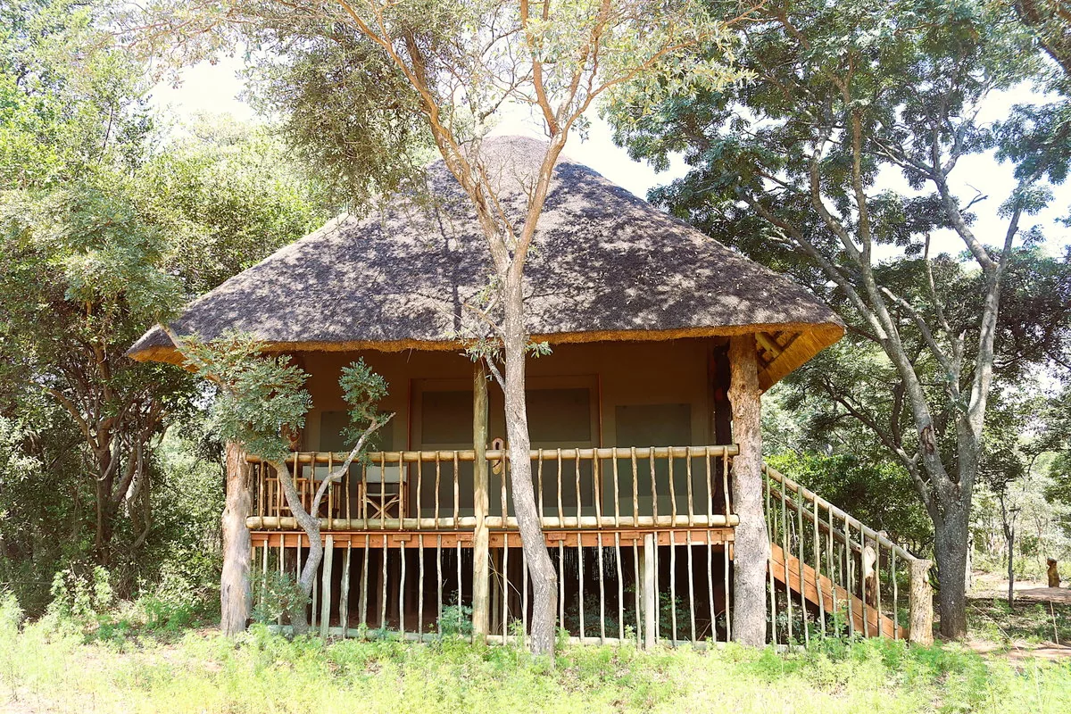 Tented accommodation nestled among trees at Honeyguide Ranger Camp
