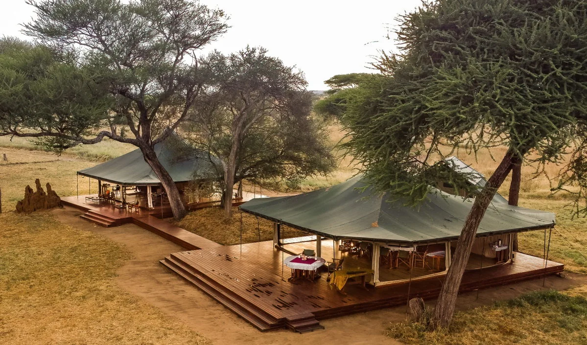 Honeyguide Tarangire canvas tents set beneath trees in Tanzania
